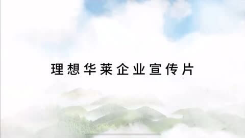 信息技术服务发票范围